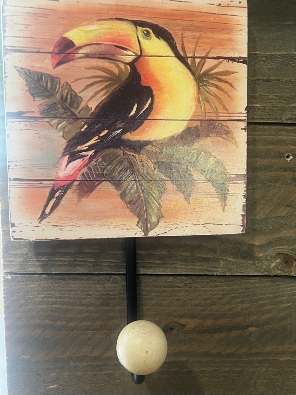 Toucan Tropical Wall Hook Coastal Jungle Decor